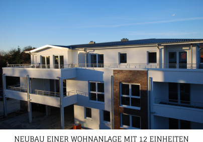 NEUBAU EINER WOHNANLAGE MIT 12 EINHEITEN